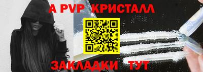 прущие грибы Можга