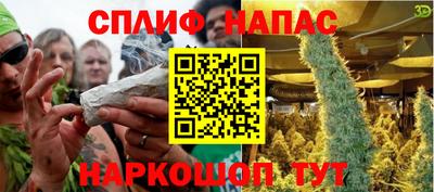 прущие грибы Можга