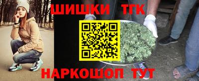 прущие грибы Можга
